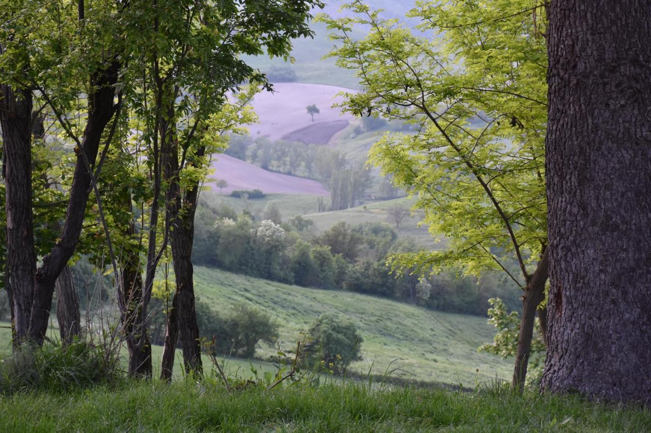 Locanda Sottolaluna Viano Zewnętrze zdjęcie