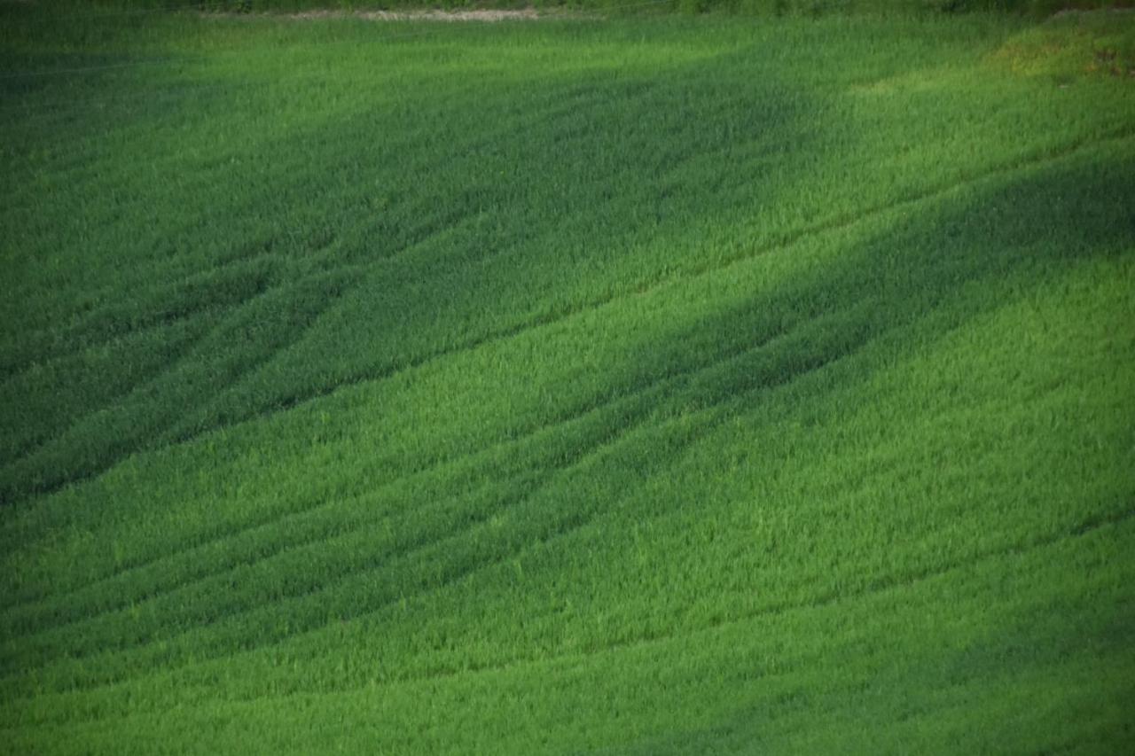 Locanda Sottolaluna Viano Zewnętrze zdjęcie